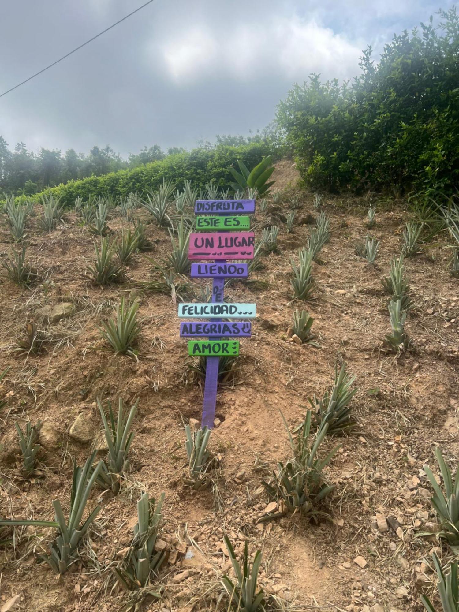 Finca Don Matias เมลการ์ ภายนอก รูปภาพ